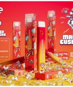 2g Favorite Disposable Mango Gushers