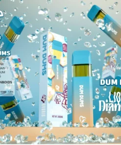 2g Favorite Disposable Dum Dums